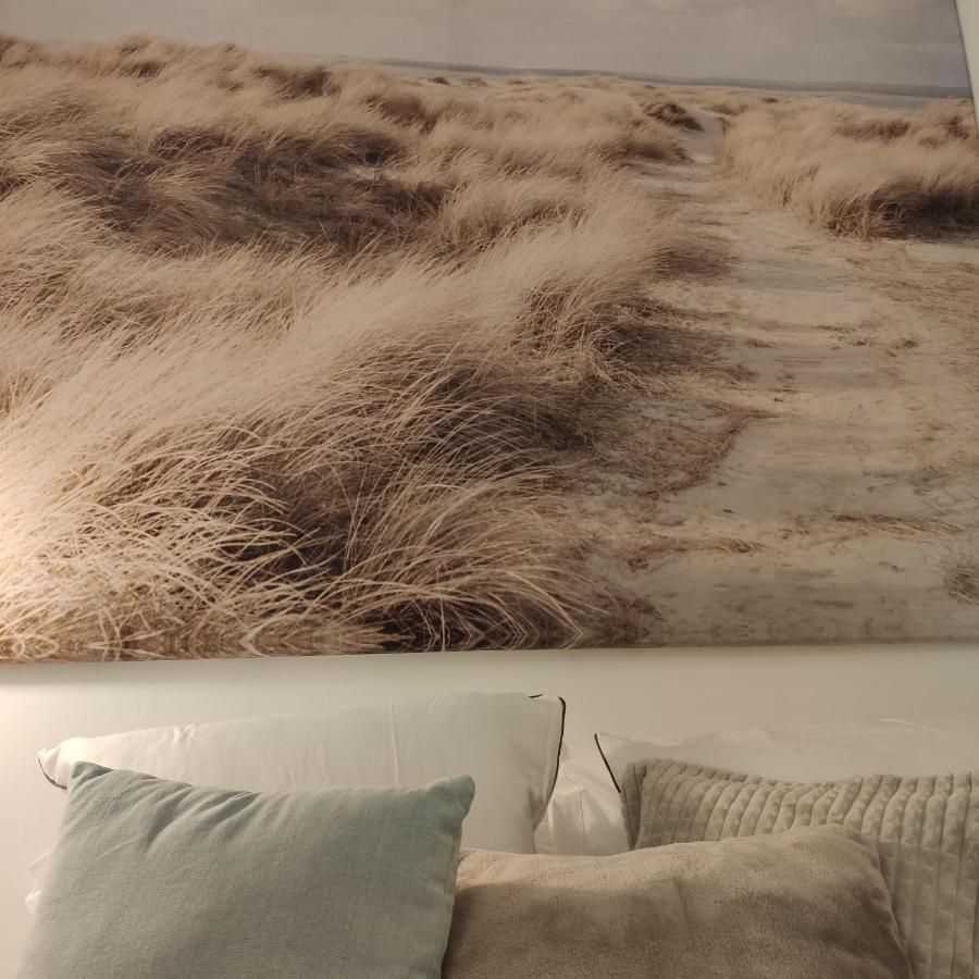 Le 21 Vue Sur Mer 콩카르노 외부 사진