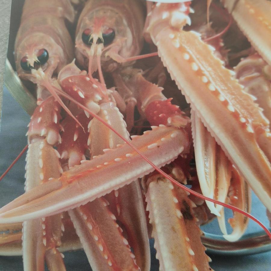 Le 21 Vue Sur Mer 콩카르노 외부 사진